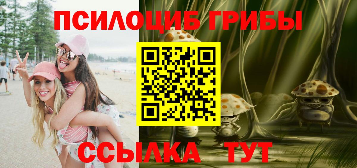 Галлюциногенные грибы мицелий Сосновый Бор